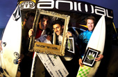 animal open Newquay