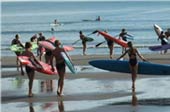 lifeguard