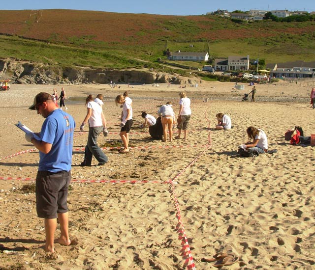 sas beach clean