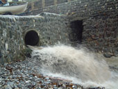 sas beaches around brighton fail to meet UK standards