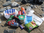 sas litter