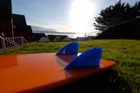 fins
