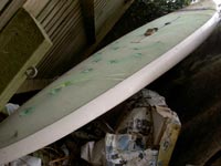 windsurf for sale