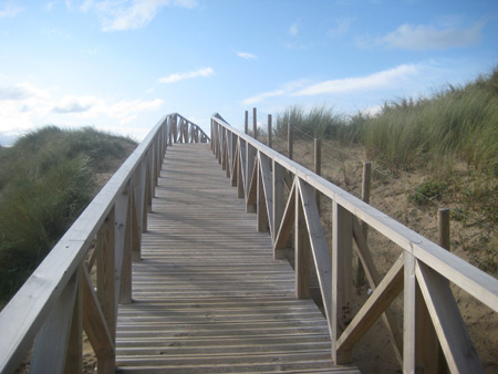 errant surf holidays