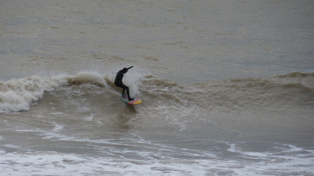 P1040304.jpg